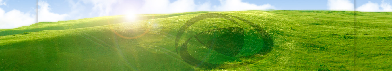 Agricultural fertilizers