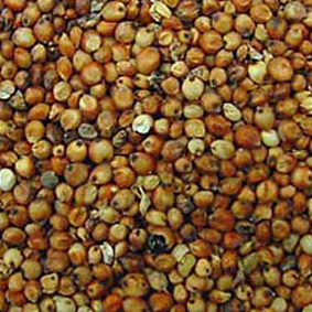 grains