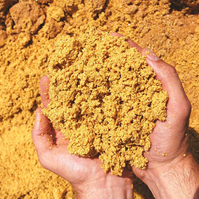 grains