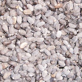 grains