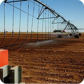 watering system